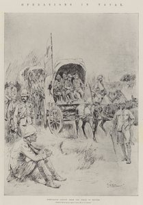 Operations in Natal